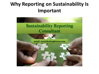 Why Reporting on Sustainability Is Important