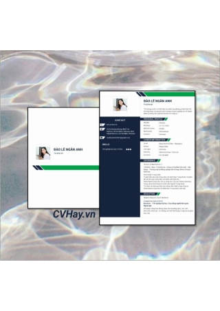 CVHay_Trợ Lý Dự Án