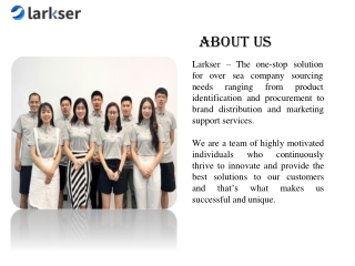 Product Development Solution - Larkser.com