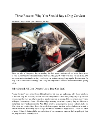 Three Reasons Why You Should Buy a Dog Car Seat