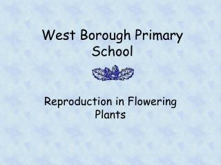 West Borough Primary School