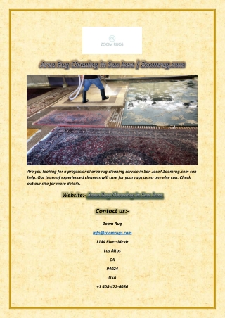Area Rug Cleaning In San Jose