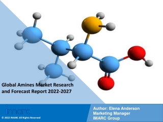 Amines Market Research and Forecast Report 2022-2027