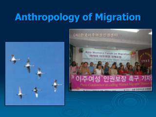Anthropology of Migration