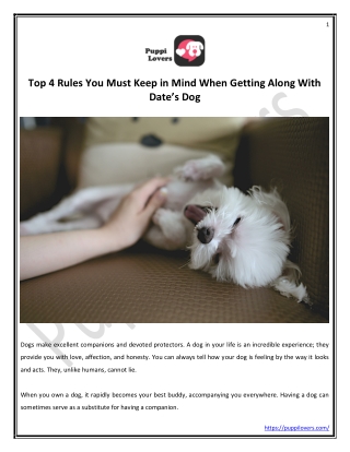 Top 4 Rules You Must Keep in Mind When Getting Along With Date’s Dog