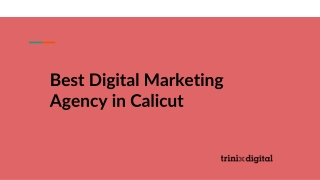 Best Digital Marketing Agency in Calicut