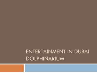 Entertainment in Dubai Dolphinarium