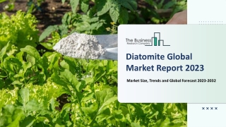 Diatomite Market