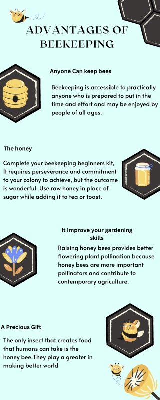 Do you know the advantages of beekeeping?