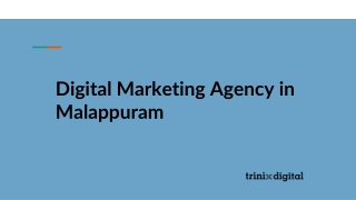 Digital Marketing Agency in Malappuram