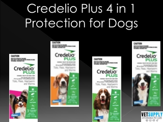 Credelio Plus 4 in one protection for dogs | Flea, tick, worm, and Heartoworm |