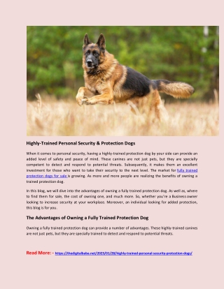 Highly-Trained Personal Security & Protection Dogs
