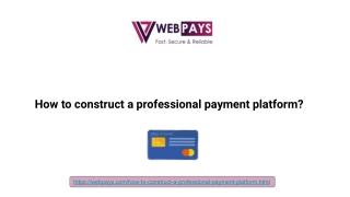 How to construct a professional payment platform_