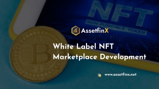 White Label NFT Marketplace Development (1)