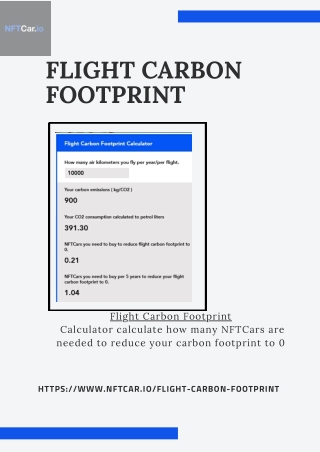 flight carbon footprint