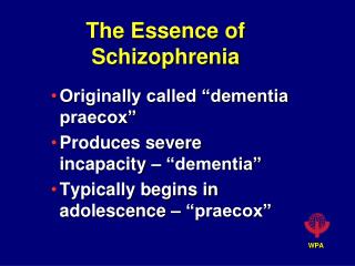The Essence of Schizophrenia