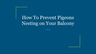 How To Prevent Pigeons Nesting on Your Balcony
