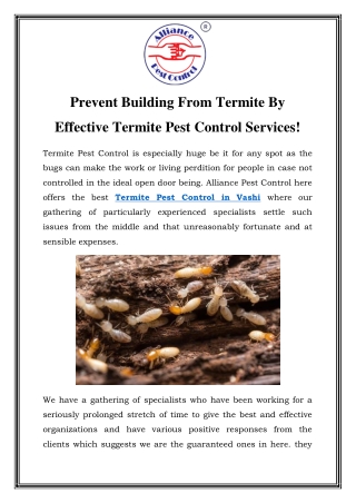 Termite Pest Control in Vashi Call-9833024667