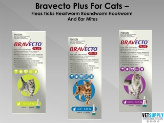 Bravecto Plus For Cats - Fleas Ticks Heartworm Roundworm Hookworm And Ear Mites