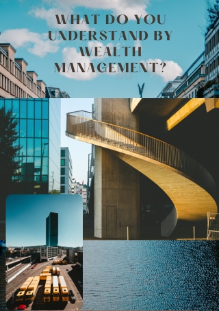 What do you understand by wealth management