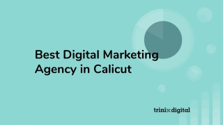 Best Digital Marketing Agency in Calicut