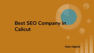 Best SEO Company in Kerala | 2023