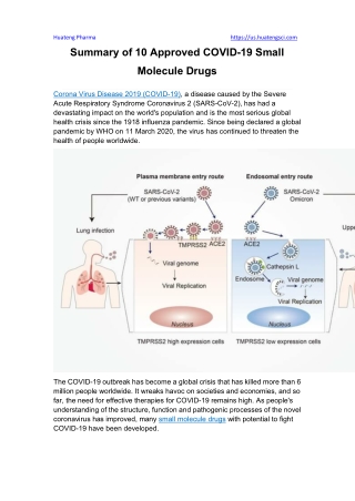 Summary of 10 Approved COVID-19 Small Molecule Drugs