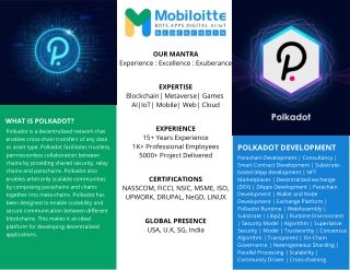 Polkadot Development Services