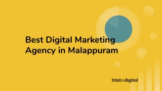 Digital Marketing Agency in Malappuram