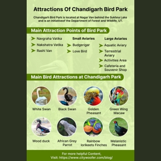 Explore Chandigarh Bird Park Attractions Points