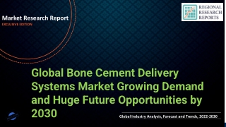 Bone Cement Delivery Systems Market