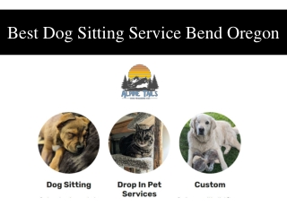 Best Dog Sitting Service Bend Oregon