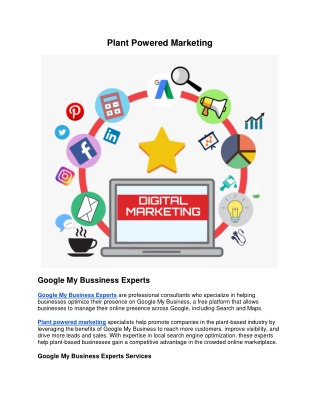 Google my business experts