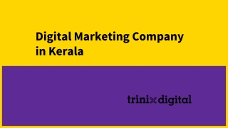 Digital Marketing Company in Kerala