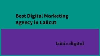 Best Digital Marketing Agency in Calicut