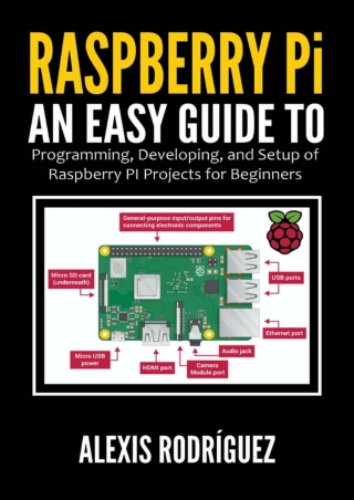 DOWNLOAD Raspberry Pi An Easy Guide to Programming Developing and Setup of Raspberry