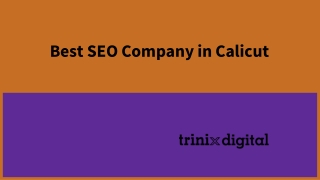 Best SEO Company in Calicut