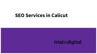 SEO Services in Calicut