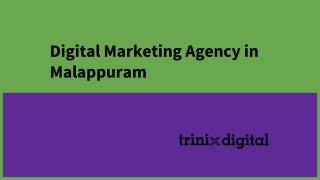 Digital Marketing Agency in Malappuram