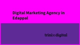 Digital Marketing Agency in Edappal
