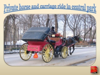 Private horse and carriage ride in central park