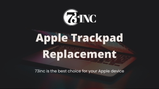 Apple Trackpad Replacement