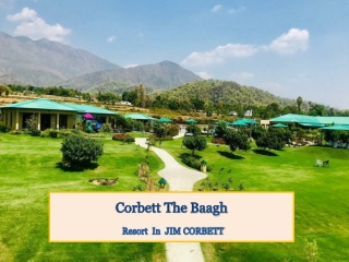Resort in Jim Corbett - Corbett The Baagh