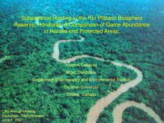 Subsistence Hunting in the R ío Plátano Biosphere Reserve, Honduras: A Comparison of Game Abundance in Hunted and Prote