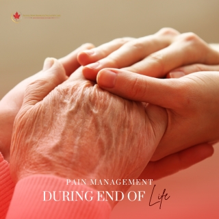 Pain Management During End of Life