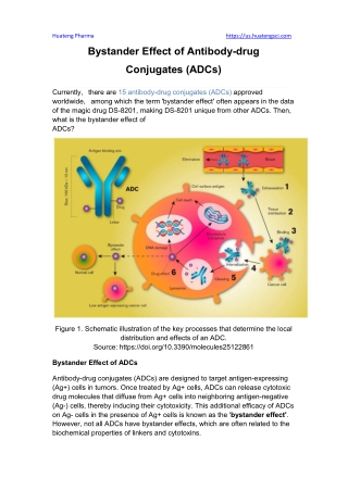 Bystander Effect of Antibody-drug Conjugates (ADCs)