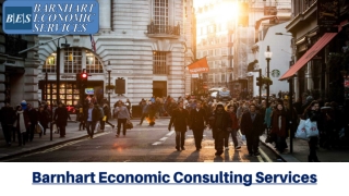 Get The Best Barnhart Economic Consulting Services From Professionals