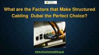 What are the Factors that Make Structured Cabling  Dubai the Perfect Choice