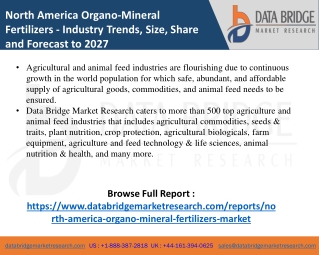 North America Organo-Mineral Fertilizers - Agricultural & Animal feed