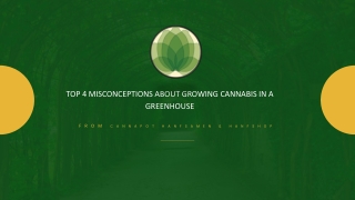 TOP 4 MISCONCEPTIONS ABOUT GROWING CANNABIS IN A GREENHOUSE